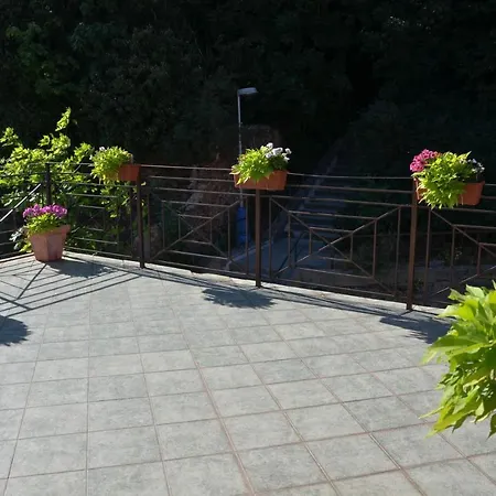 Paradies 3* تبليتسه