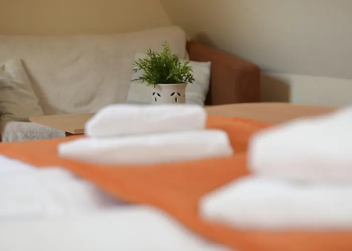 Paradies Hotell 3*